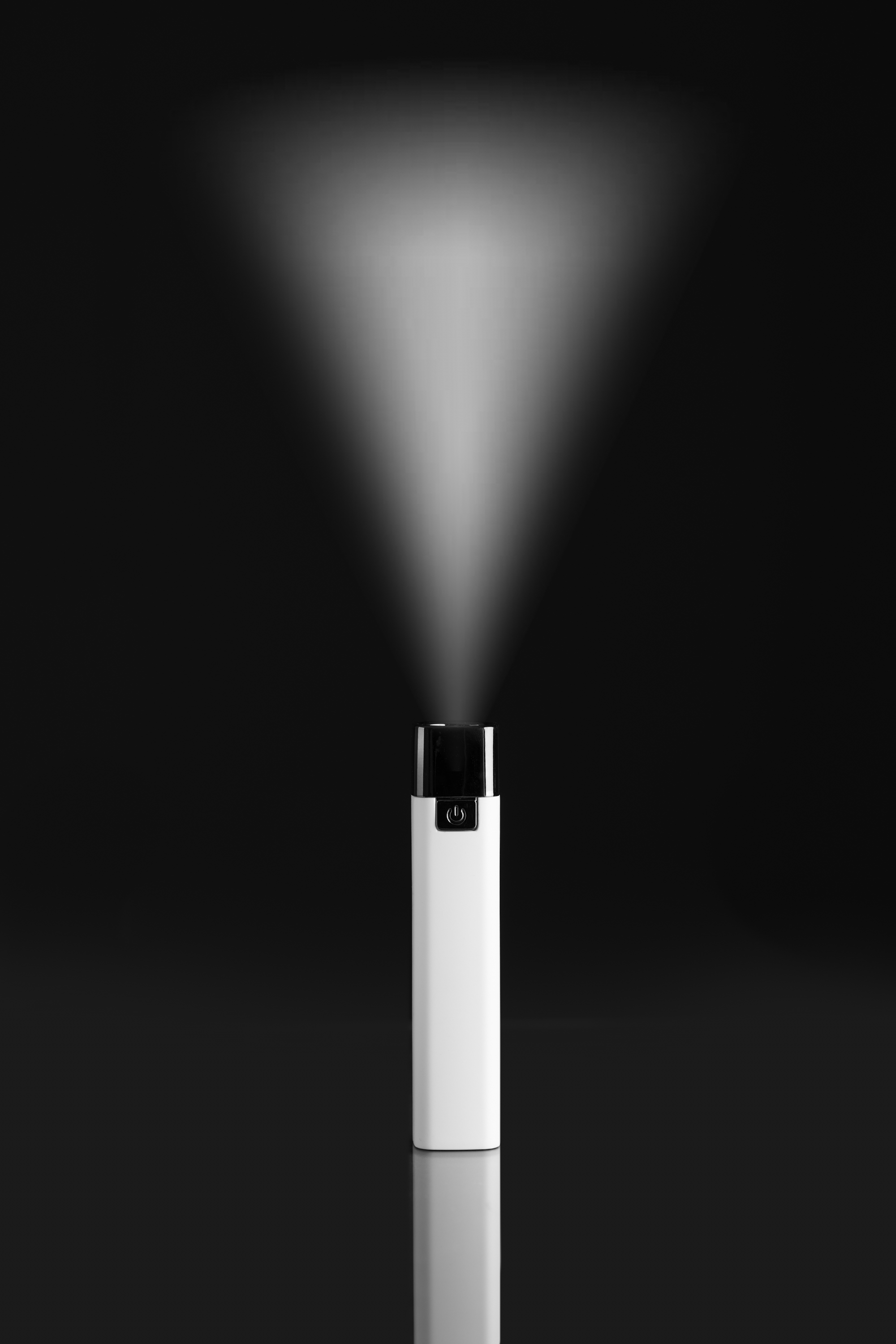 TASCHENLAMPE MIT POWERBANK -
